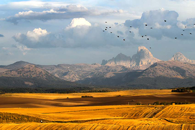 Teton Valley fields and mountains