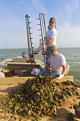 Oyster fishermen