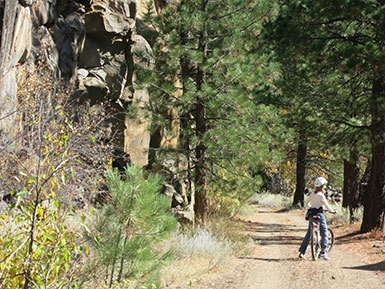 Bizz Johnson Trail scenery