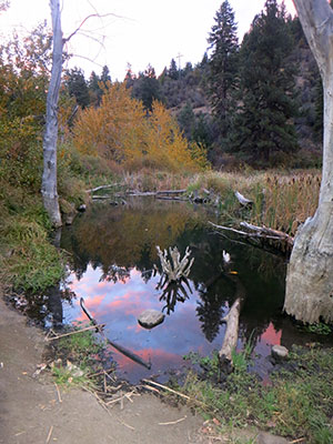 South Side Trail sunrise