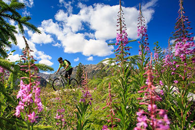 Golden, BC mountain biking