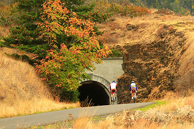 Mosler Tunnell