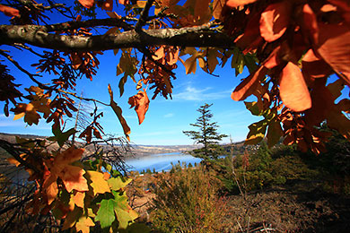 Columbia River view