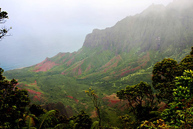 Waimea Canyon Kalalau Valley from Puu o Kila lookout