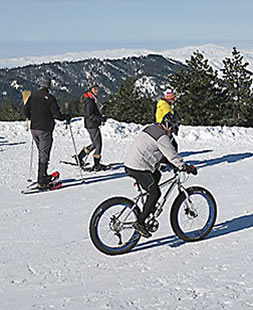 Bogus Basin fat tire biker