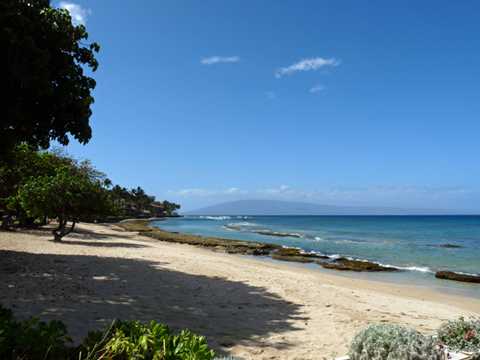 Maui Beach and Reef