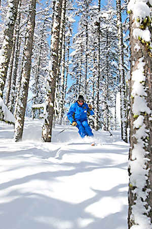 Tamarack tree skiing