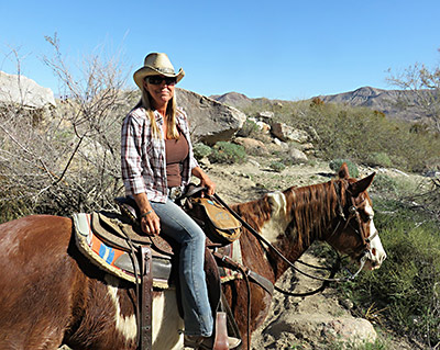 Palm Springs stableshorse