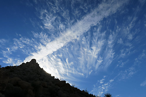 Joshua Tree skyline