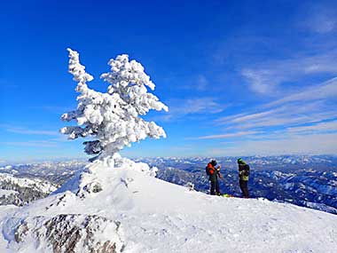 McCall/Bogus Basin bluebird day