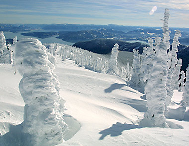 Snowghosts at Schweitzer, ID