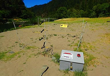 Bear fence