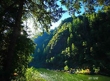 Rogue River Paradise Lodge morning