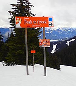 Whistler Peak 2 Creek