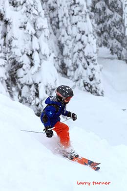 Whitewater downhill skier