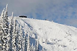 Schweitzer Sky House