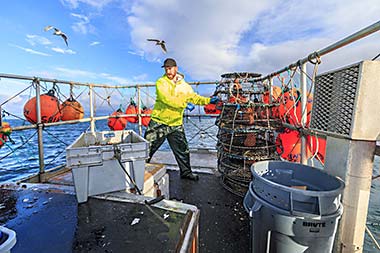 Stacking shrimp traps