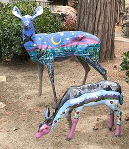 Idyllwild deer herd