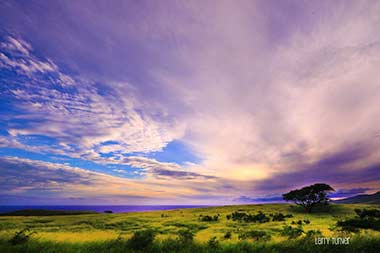 Hawaii, road to Hana leeside