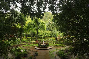 Road to Kahului Iao Valley Garden