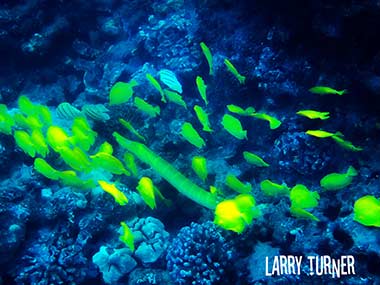 Road to Kahului snorkeling pleasures