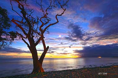 West Maui Lahaina moonrise