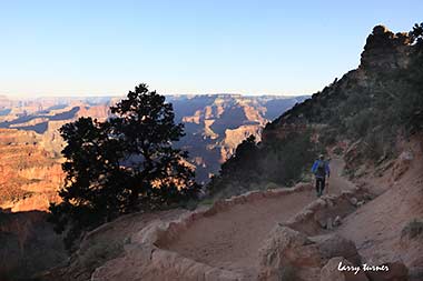 Grand Canyon South Kaibob Trail