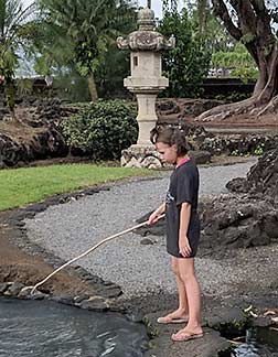 Hawaii gardens