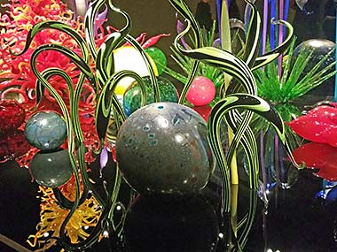 Chihuly Mille Fiori