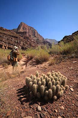 Rafting the Grand Canyon, side canyons