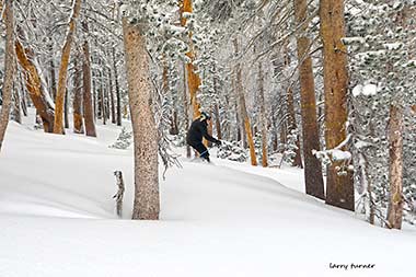 June Mountain backcountry skiing