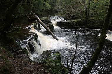 Pyrddin River in Wales