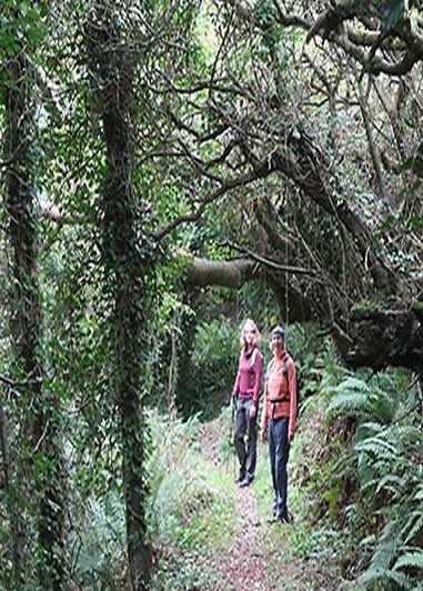 Pemrokeshire Coast Path in Wales