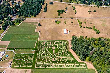 Olympia corn maze