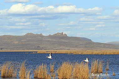 Tulelake Refuge