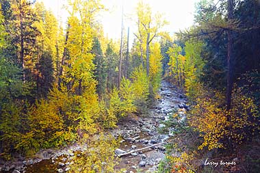 Montana stream