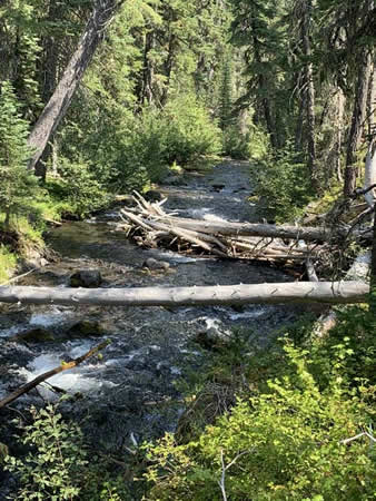 Tumbling Trapper Creek