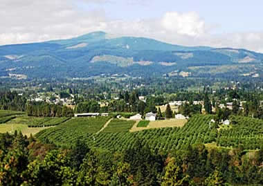 Hood River Valley, Oregon