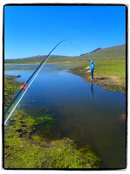 Northern Nevada outdoor recreation