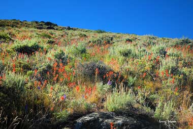 Northern Nevada outdoor recreation