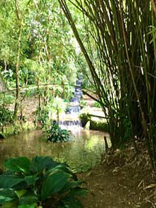 Rio de Janeiro Botanical Garden