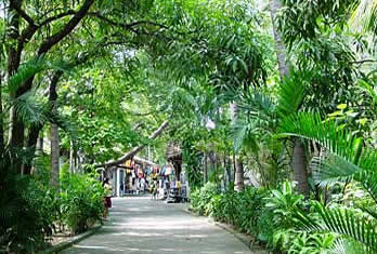 Puerto Vallarta Isla Cuale