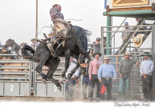 Will James Roundup, Hardin, Montana