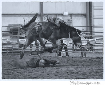 Madras Ranch Bronc Riding Madras Oregon