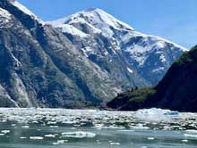 Tracy Arm fjord ice