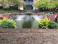 Brickwork supports a cascade into Carol Creek.