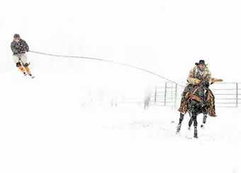 Skijoring in the Flathead Valley, Montana