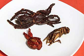 Plate of tarantula, frog and grasshopper