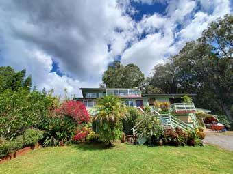 Maui coffee farm and market