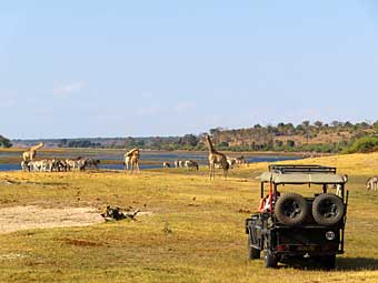 Arriving in Chobe, Botswana